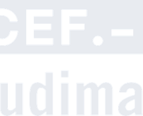 CEF.- UDIMA